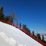 Kolilla Oy, Purnutar A Kolinkylä