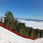 Kolilla Oy, Purnutar A
