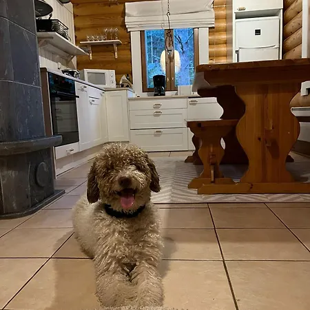 Kolilla Oy, Purnutar A Apartment Koli (Lieksa)