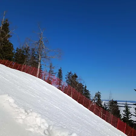 Kolilla Oy, Purnutar A Kolinkylä